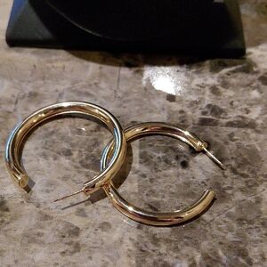 Elegant Gold Hoop Earrings